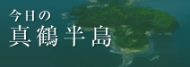 今日の真鶴半島