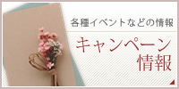 キャンペーン情報
